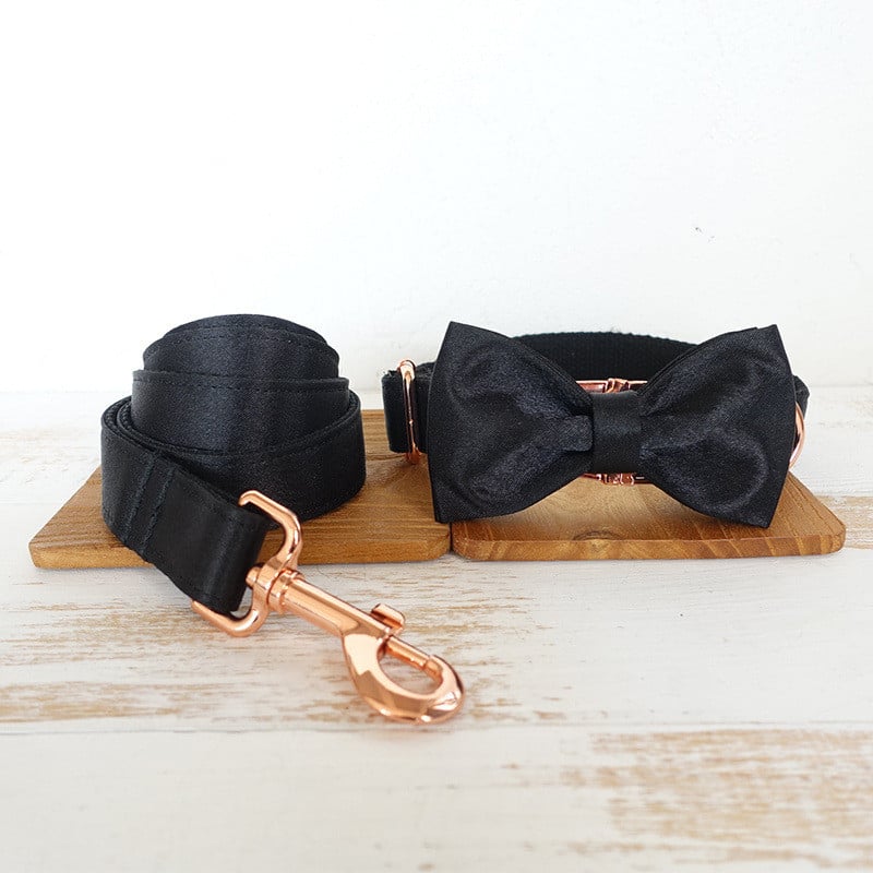 Chic Metal Buckle Dog Collar