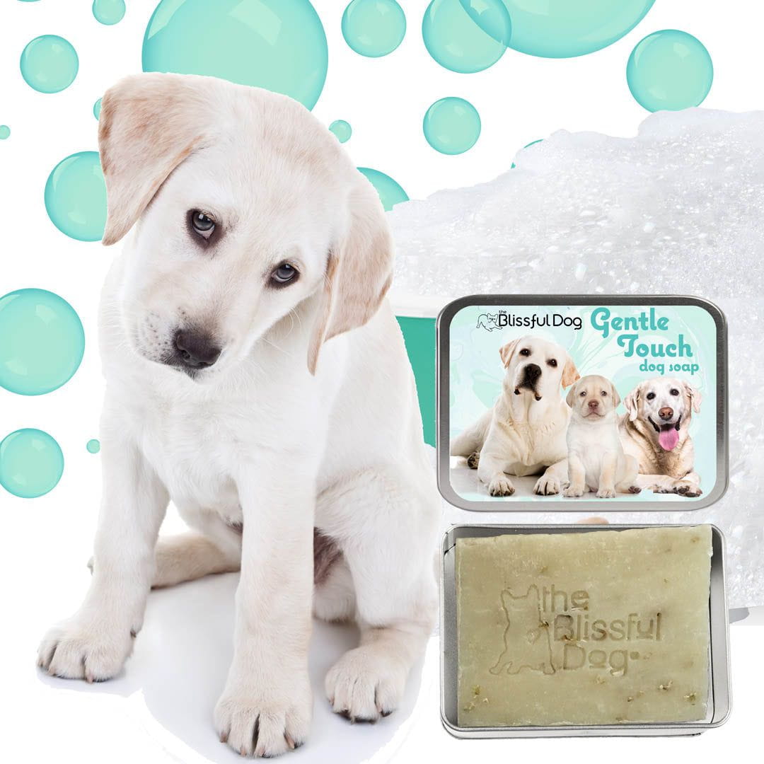Gentle Touch Dog Shampoo & Soap