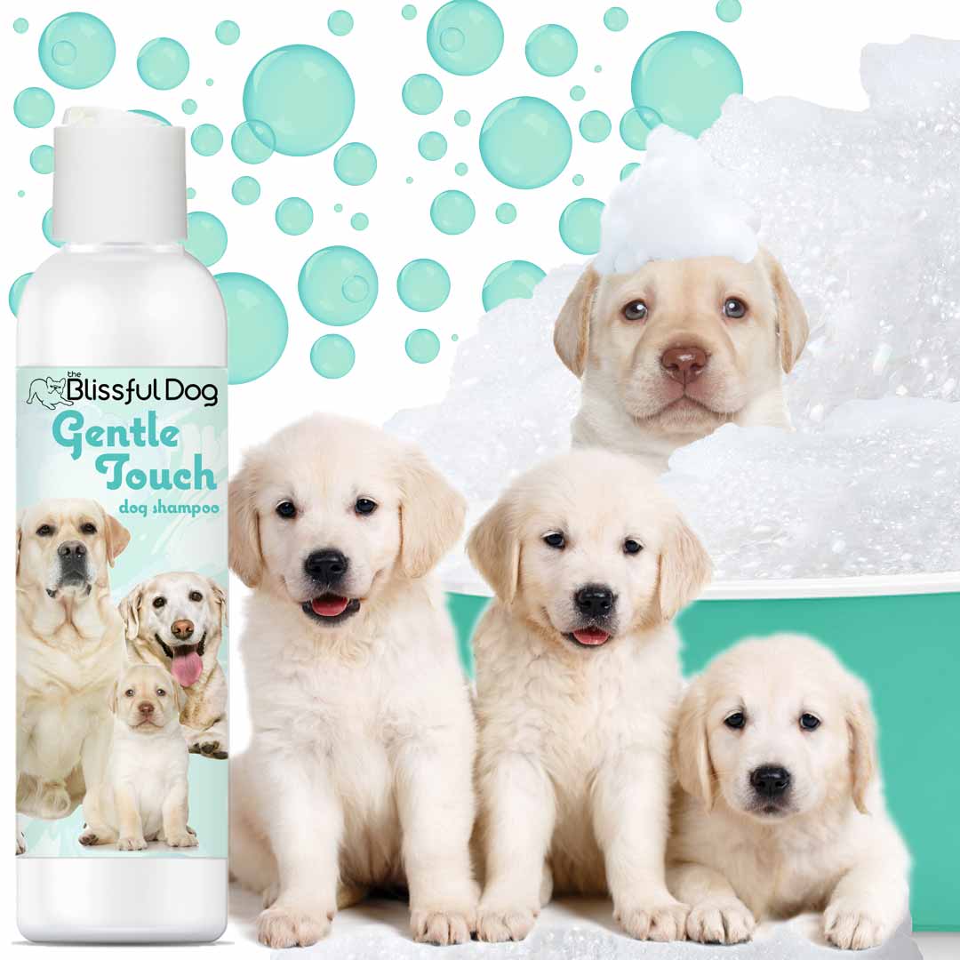 Gentle Touch Dog Shampoo & Soap