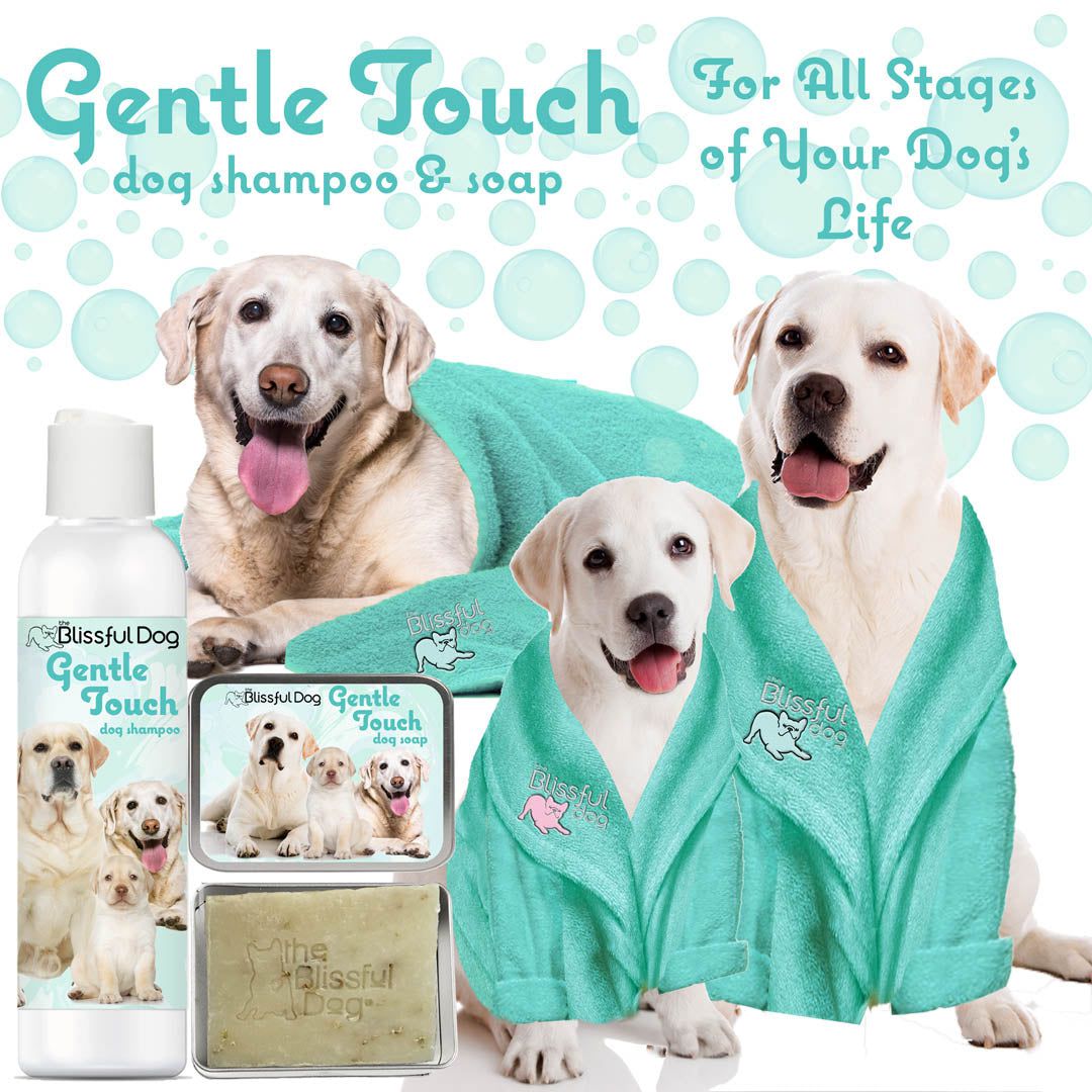 Gentle Touch Dog Shampoo & Soap
