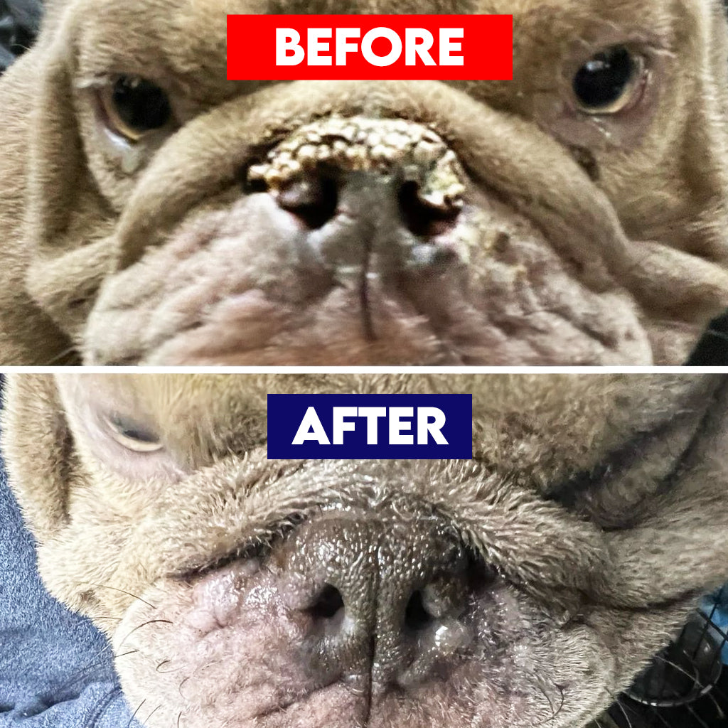 Ruff Nose Pet Nose Repair Balm