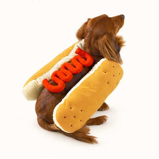 Hot Diggity Dog with Ketchup Dog Costume on a cream background